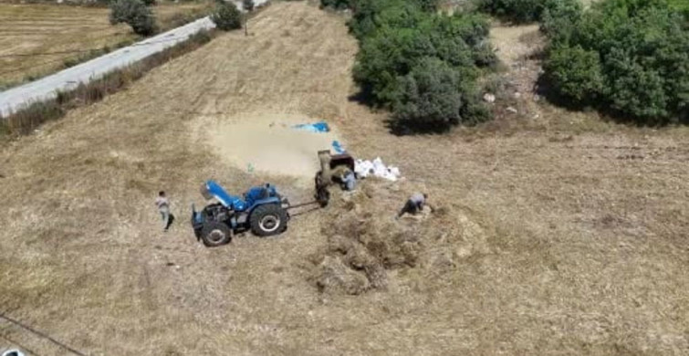 Hatay'da buğday hasadı kavurucu sıcaklıkta sürüyor