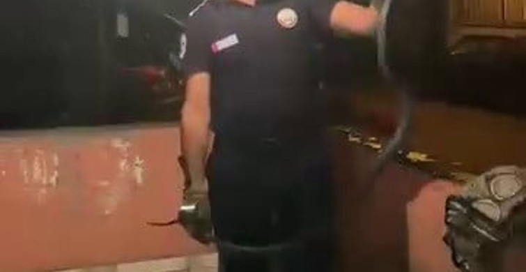 Hatay'da bulaşık makinesine giren 2 metrelik karayılan itfaiye tarafından çıkarıldı