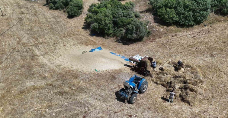 Hatay'da çiftçiler, kavurucu sıcakta buğday hasadına devam ediyor