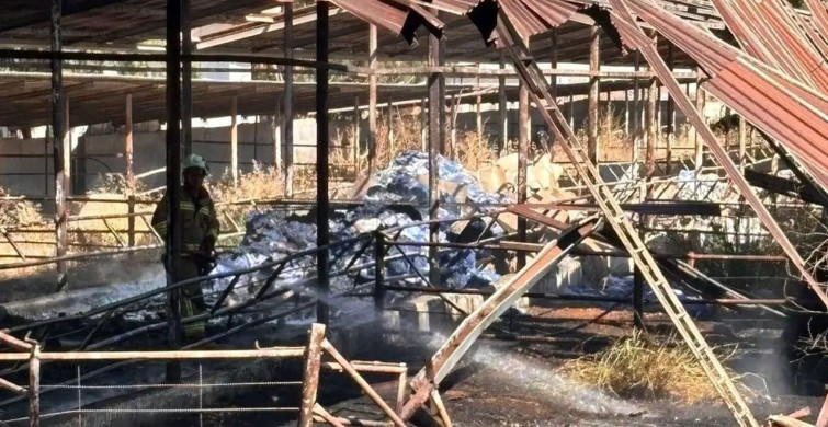 Hatay'da depo yangını: Kırıkhan'daki depo kül oldu