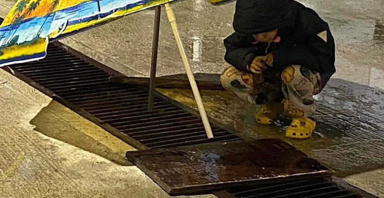 Hatay'da Depremzedelerin Sıcak Yuvası: Kedi ve Yavru Kedileri