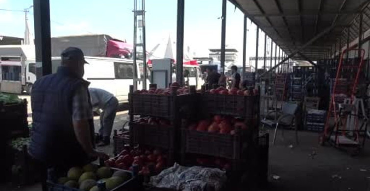 Hatay'da domates fiyatları 15 TL'ye geriledi