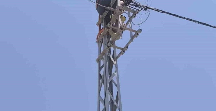 Hatay'da elektrik direğinde akıma kapılan işçi hastaneye kaldırıldı