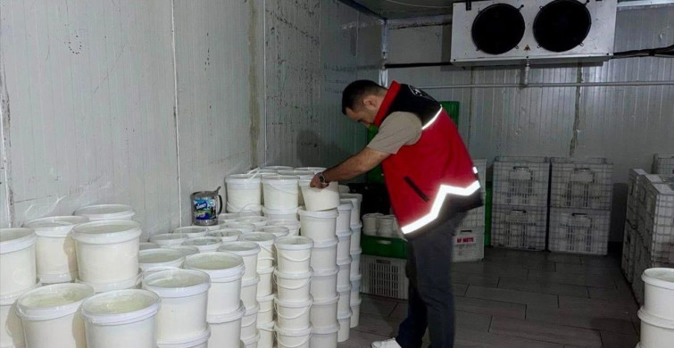 Hatay'da Gıda Güvenliği İhlali: Peynir ve Yoğurt İmha Edildi