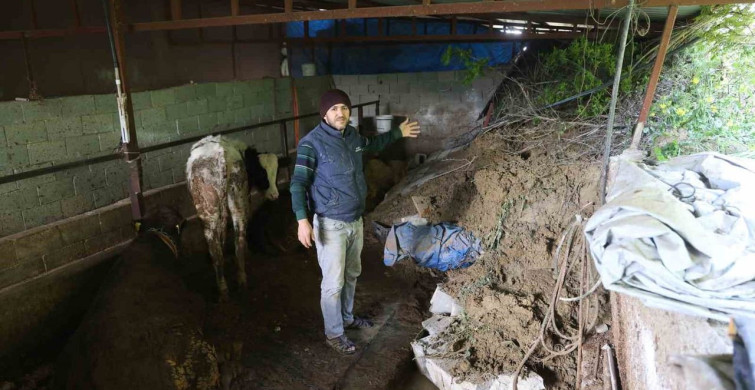 Hatay'da Heyelan Sonrası Mahsur Kalan Hayvanlar