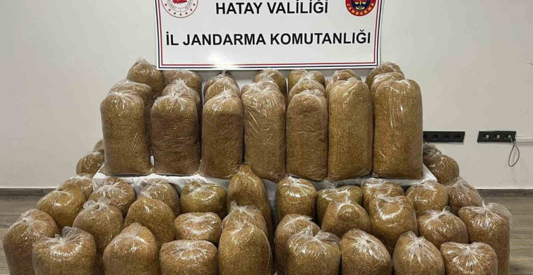 Hatay’da Jandarma Operasyonu: 71 Şüpheli Yakalandı