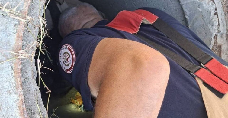 Hatay'da kuyuda mahsur kalan yavru köpek itfaiye tarafından kurtarıldı