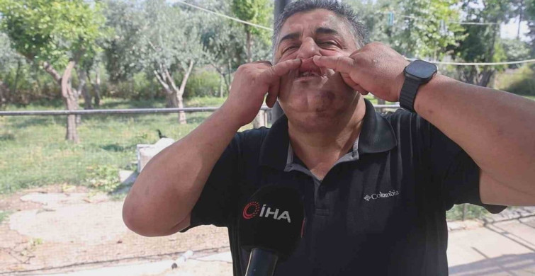 Hatay'da kuyumcuya meydan dayağı atan kardeşlere 420 bin TL ceza