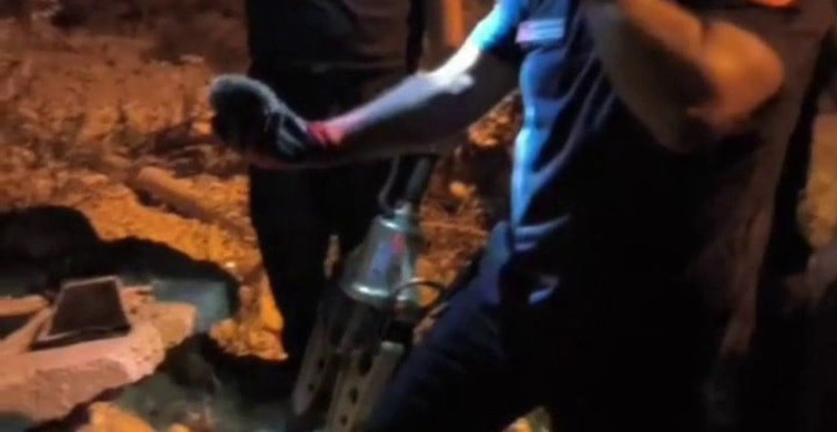 Hatay'da mahsur kalan kirpi, itfaiye ekipleri tarafından kurtarıldı