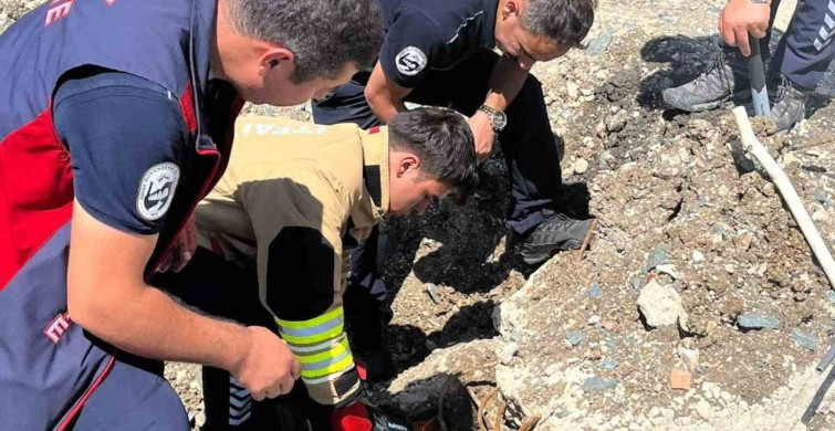Hatay'da nand kedi yavruları itfaiye ekipleri tarafından kurtarıldı