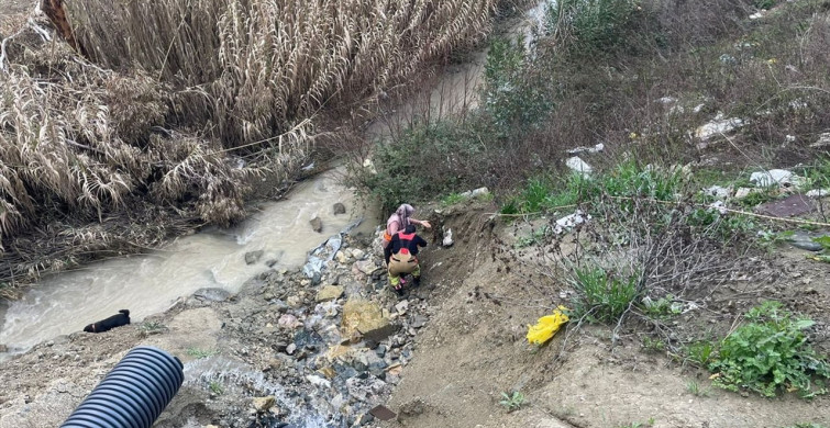 Hatay'da Oğlak Kurtarma Çabası