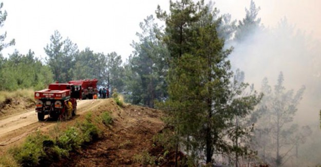 Hatay'da Orman Yangını 2 Gündür Devam Ediyor