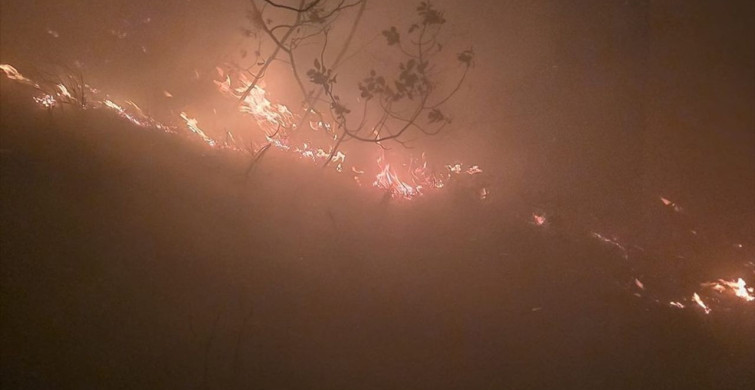 Hatay'da Orman Yangınına Müdahale