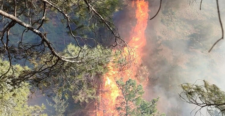 Hatay'da Orman Yangınına Müdahale Devam Ediyor