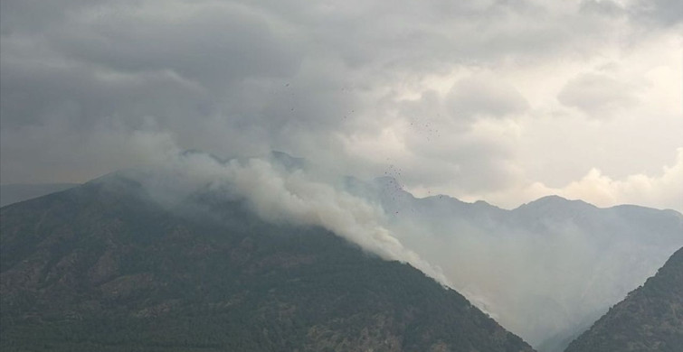 Hatay'da Orman Yangınlarına Hızlı Müdahale