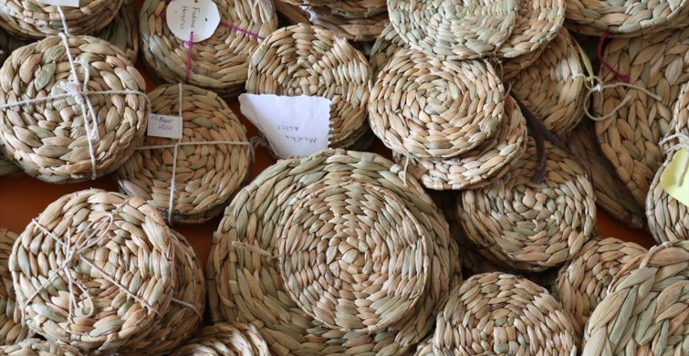 Hatay'da Su Sümbülleri Ekonomiye Katkı Sağlıyor