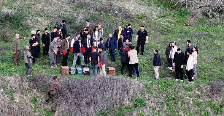 Hatay'da Yaralı Kuşlar Doğaya Kavuştu