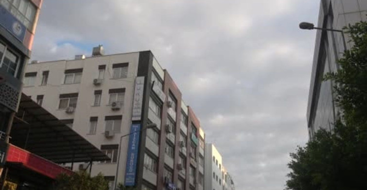 Hatay'da Yorgun Düşen Ebabil Kuşları Koruma Altına Alındı