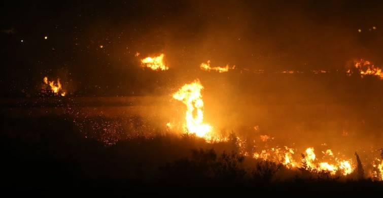 Hatay'da Zeytinlik Yangını Kontrol Altına Alındı
