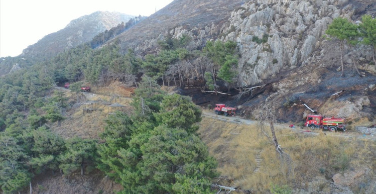 Hatay'daki Orman Yangını Kontrol Altına Alındı