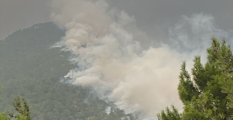 Hatay'daki Orman Yangınları Kontrol Altına Alındı