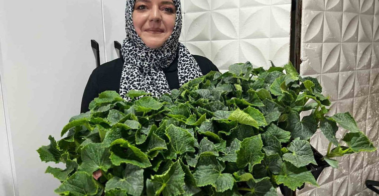 Hava Şartlarının İyileşmesiyle Fide Satışları Artış Gösteriyor