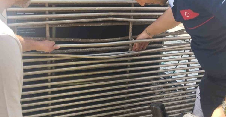 Havalandırma boşluğuna sıkışan kedi başarılı bir operasyonla kurtarıldı
