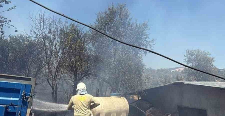 Havran Fazlıca'da orman dışı alanda yangın çıktı