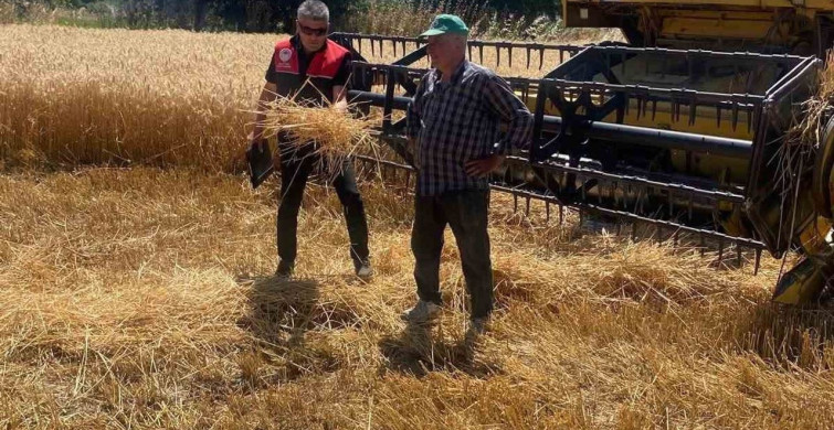 Havran'da hububat hasat kontrolleri sürüyor