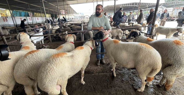 Havran'daki Gelinlik Kurban Geleneği ve Fiyatları