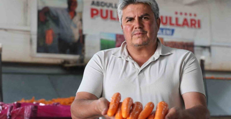 Havuç üretiminin yüzde 67’si Konya’dan