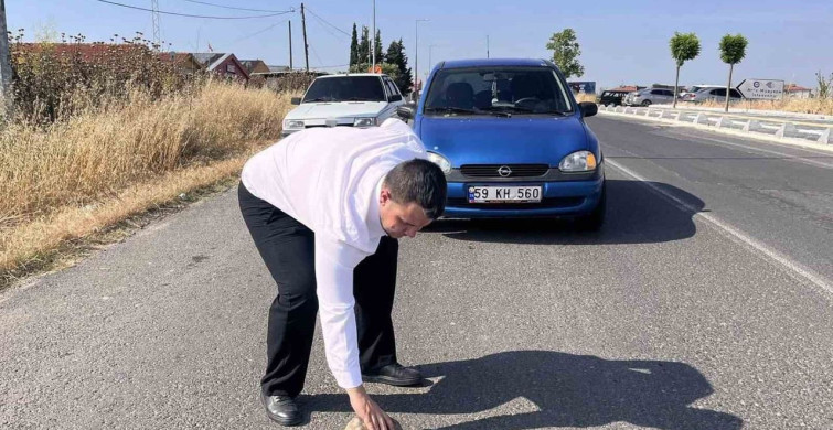 Hayrabolu'da Kaplumbağa Kurtarma İhtiyacı