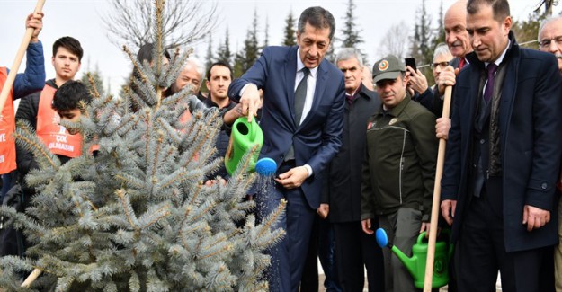 Hayrettin Karaca Anısına Ağaçlandırma