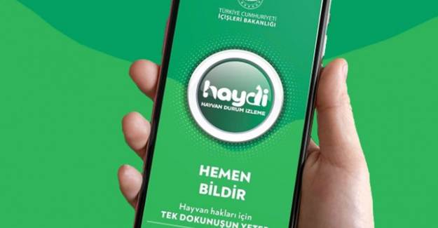 Hayvana Şiddette 'Haydi' ile Anında Müdahale 