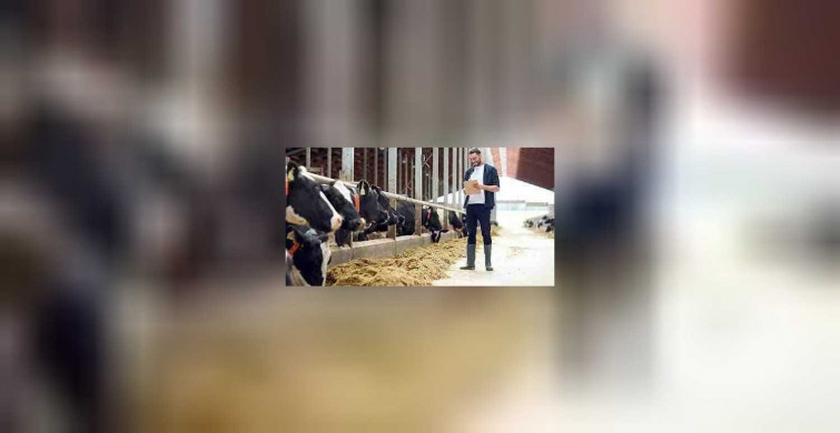 Hayvansal Üretim Teknolojileri DGS 2022 taban puanları ve bölüm kontenjanları
