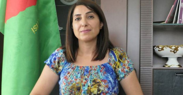 HDP'li 2 Belediyeye Kayyum Atandı