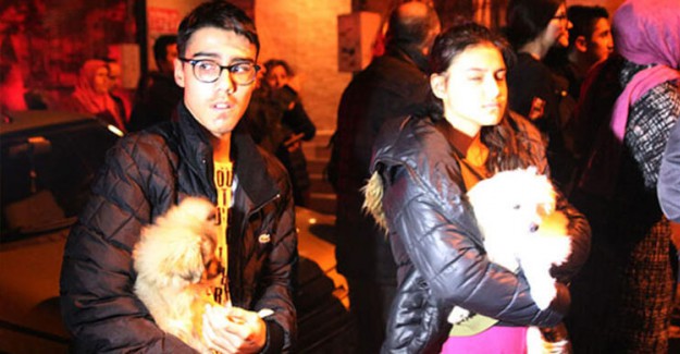 Hem Kendilerini Hem de Köpeklerini Kurtardılar