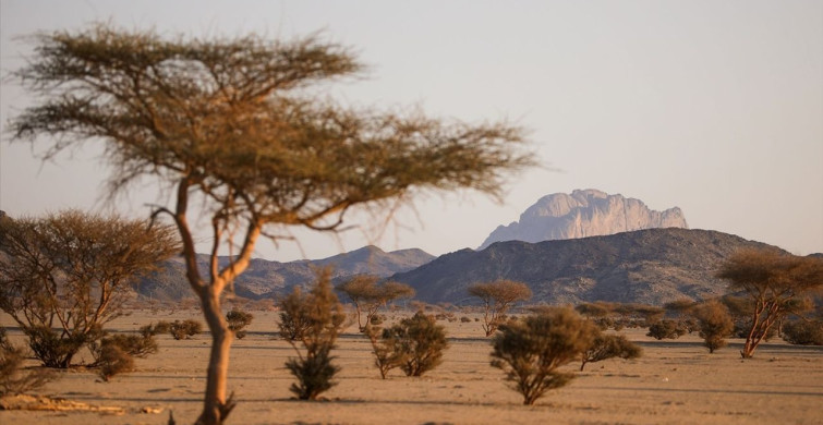 Hicret Rotasında Yürüyüşte Son Durağa Yaklaşılıyor