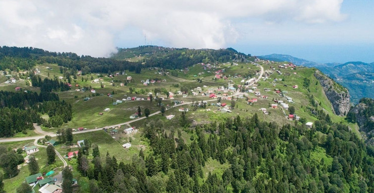 Hıdırnebi yaylası turizmin cazibe merkezi olmaya hazırlanıyor