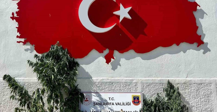 Hilvan'da düzenlenen uyuşturucu operasyonunda 1 gözaltı