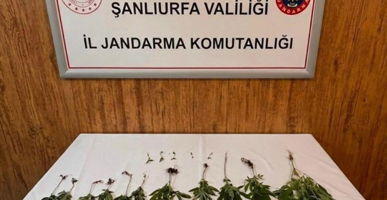 Hilvan'da uyuşturucu madde ele geçirildi