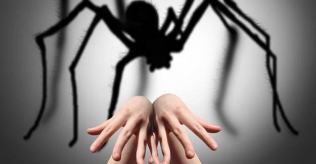 Hippopotomonstrosesquippedaliophobia Ne Anlama Geliyor?