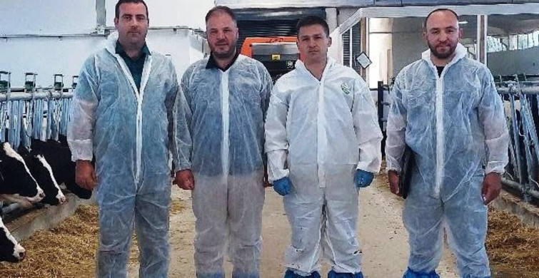 Hisarcık'ta hastalıktan ari büyükbaş işletme belgesi için test uygulandı