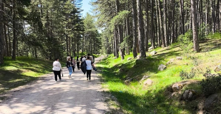 Hisarcık’ta Özel Öğrencilerle Doğa Yürüyüşü
