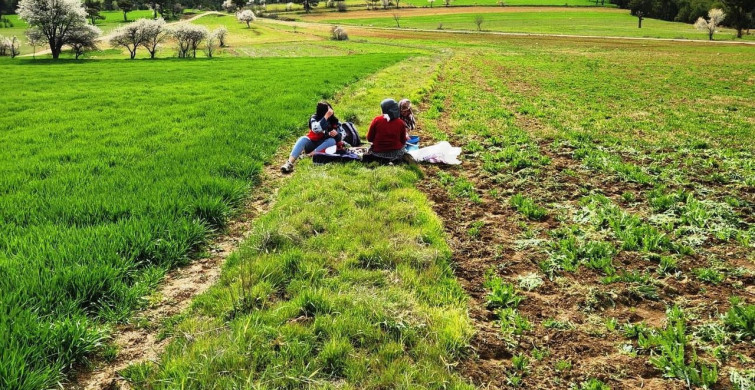 Hisarcık'ta Tarımsal Saha Çalışmaları Gerçekleştirildi