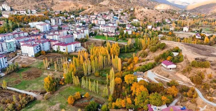 Hizan Ormanları Sonbaharda Renk Cümbüşüne Dönüşüyor