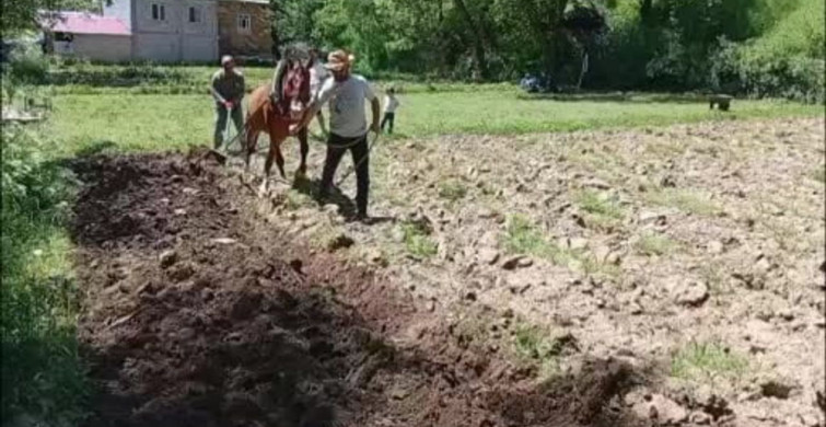 Hizan'da Geleneksel Tarım Yöntemleri Devam Ediyor