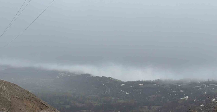 Hizan'da Yoğun Sis Hayatı Olumsuz Etkiledi