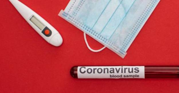 Hollanda'da Covid-19'dan Ölenlerin Sayısı 5 Bin 871'e Ulaştı