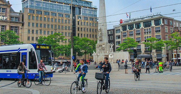 Hollanda'da Fare İstilası Meydana Gelebilir